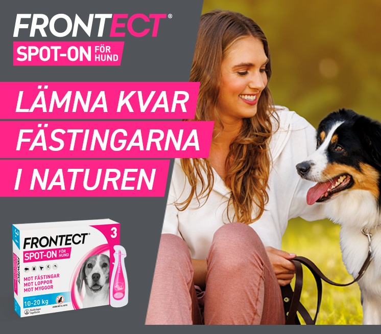 Fästingar, loppor och löss