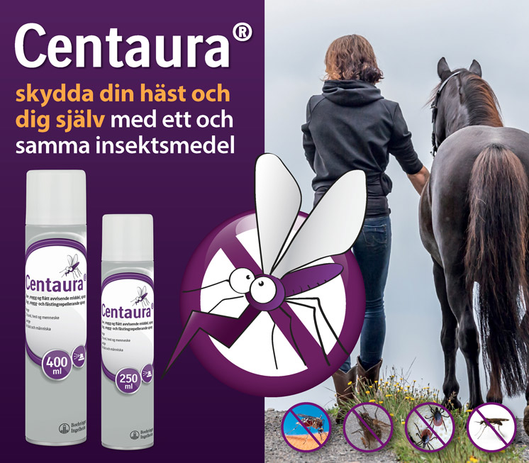Bett och stick