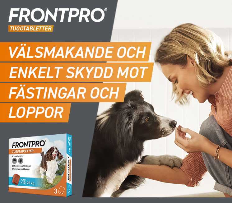 Fästingar, loppor och löss