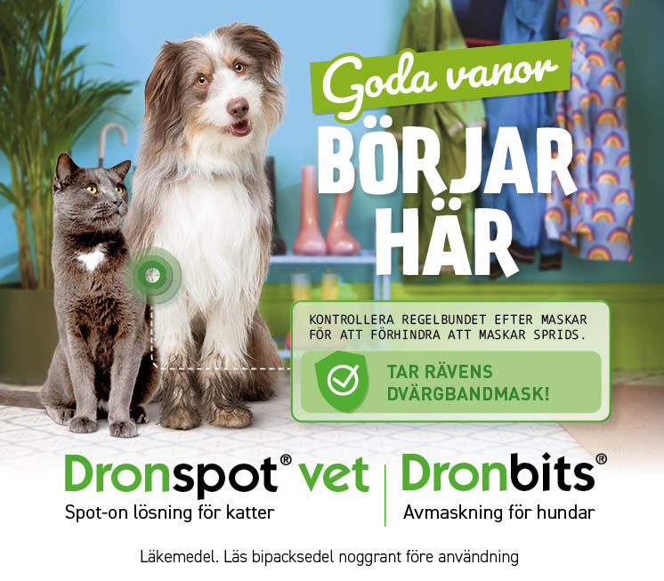 Avmaskning