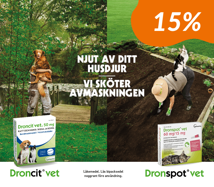 Avmaskning