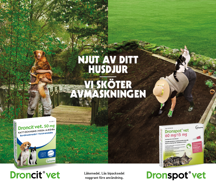 Avmaskning